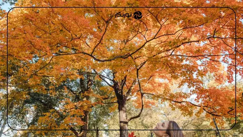 ایده&zwnj;های خلاقانه برای کپشن پاییزی اینستاگرام ۲۰۲۵