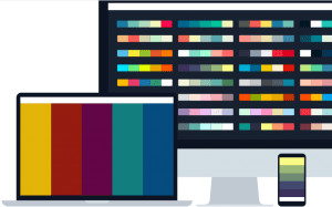 collors.co