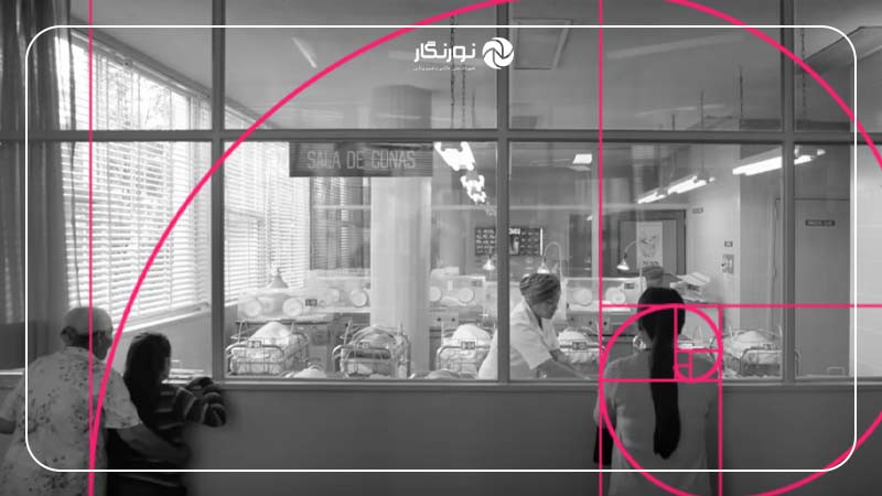 خطوط راهنما در ترکیب‌بندی