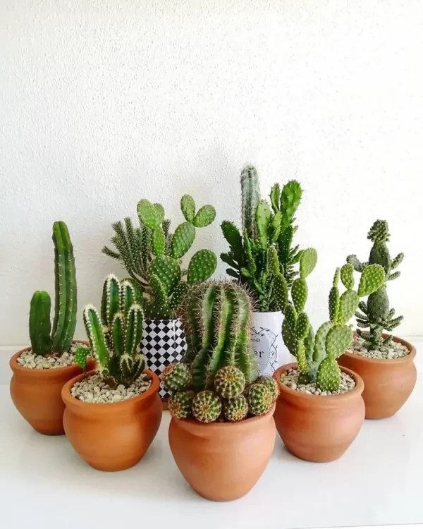 % title% پرفروش ترین محصولات اینستاگرام {لیست اجناس پرفروش اینستاگرام}