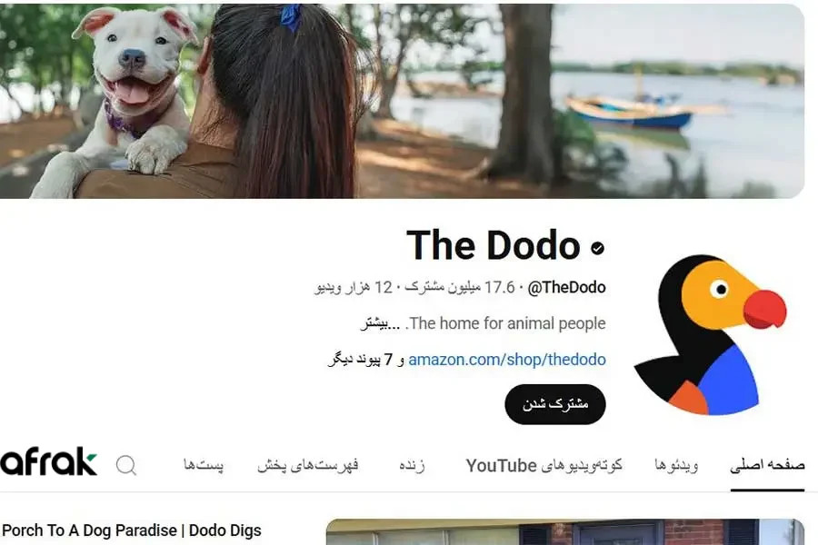 ایده حیون خخانگی برای یوتیوب